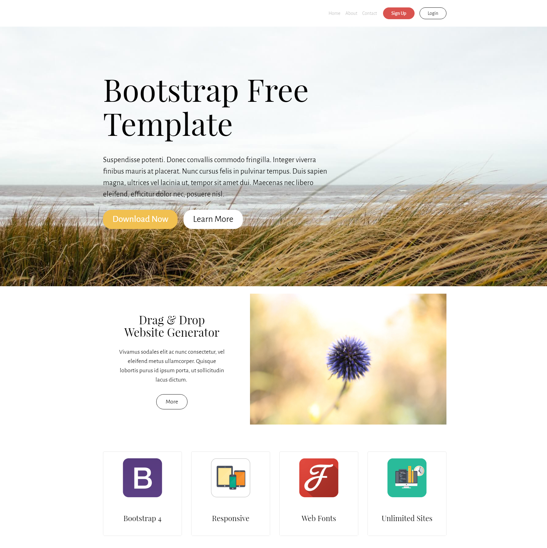 Free Download Bootstrap PurityM Templates